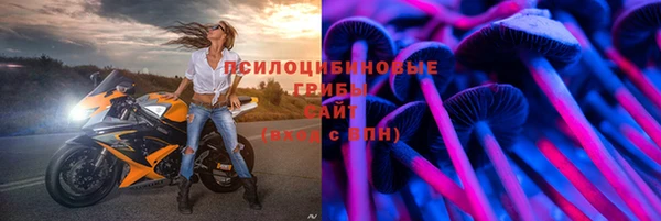 прущие грибы Арсеньев
