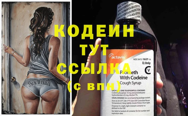 прущие грибы Арсеньев