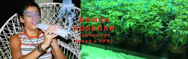 прущие грибы Арсеньев