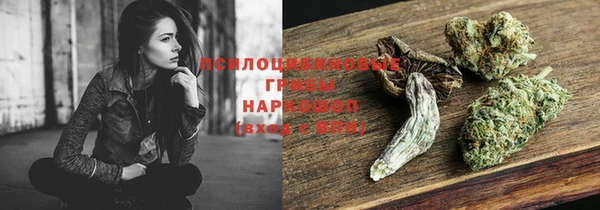 прущие грибы Арсеньев