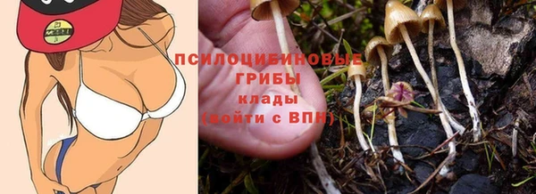прущие грибы Арсеньев