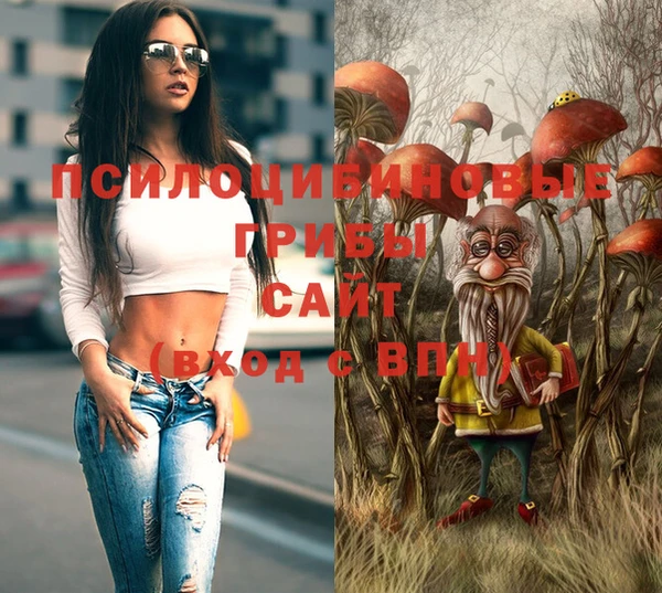 прущие грибы Арсеньев